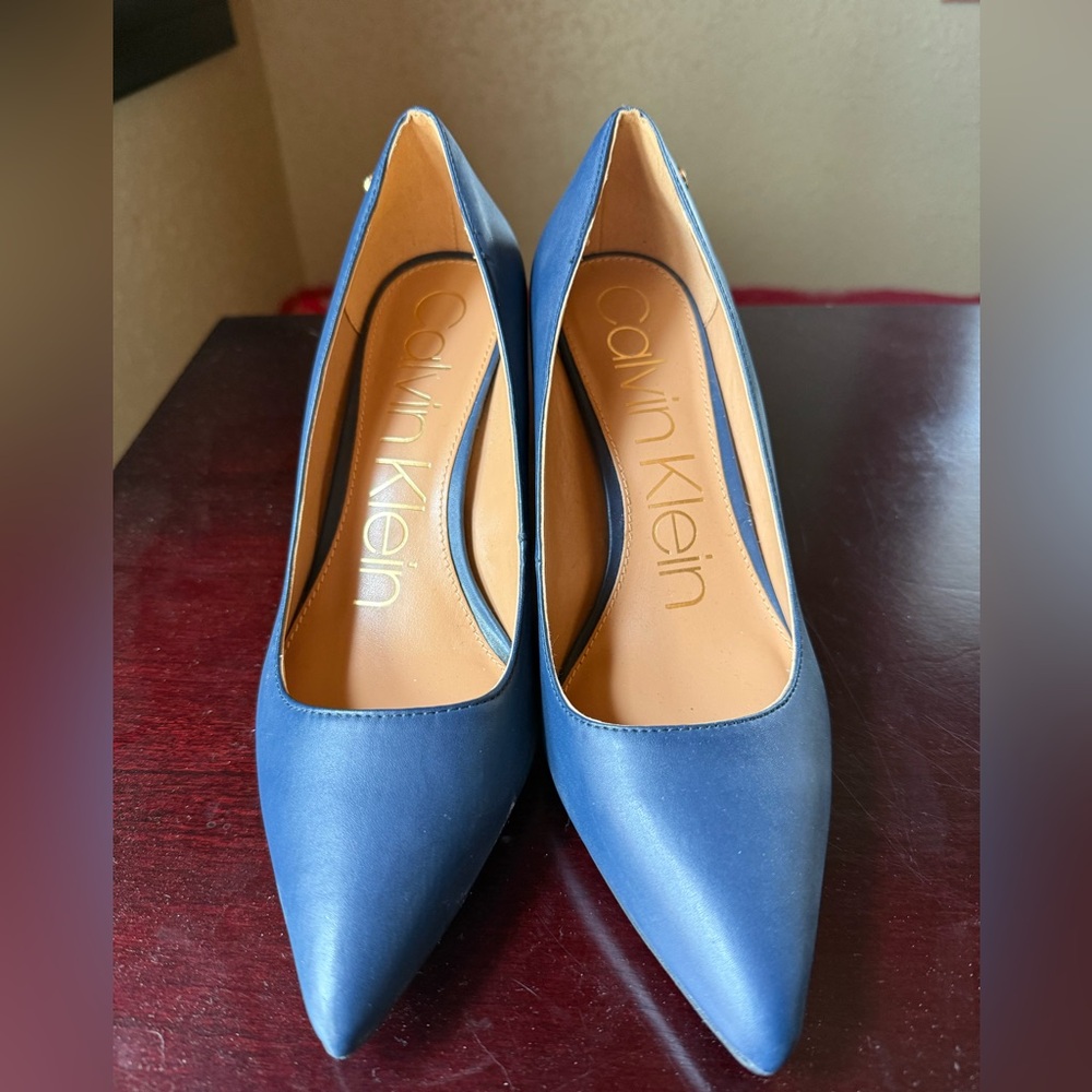 Calvin Klein Navy Pointed-Toe Stiletto Heels